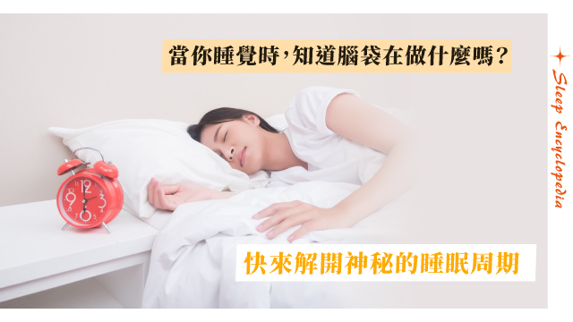 當你睡覺時，你知道腦袋在做什麼嗎？快來解開神秘的睡眠週期